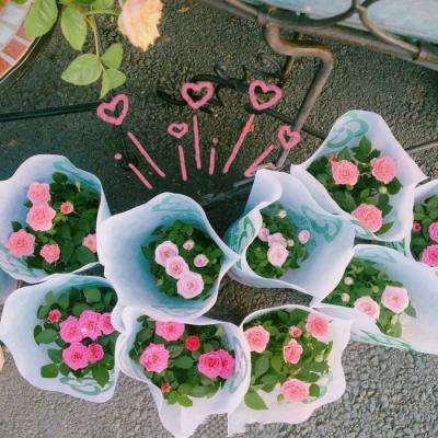 beat365中国在线体育下载手机版